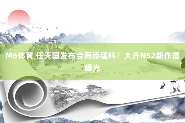 M6体育 任天国发布会再添猛料！大齐NS2新作遭曝光