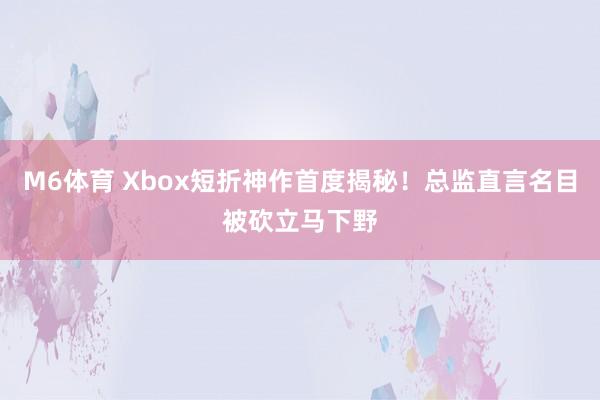 M6体育 Xbox短折神作首度揭秘！总监直言名目被砍立马下野