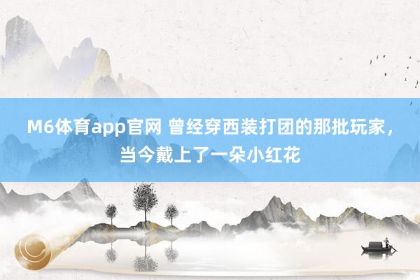 M6体育app官网 曾经穿西装打团的那批玩家，当今戴上了一朵小红花