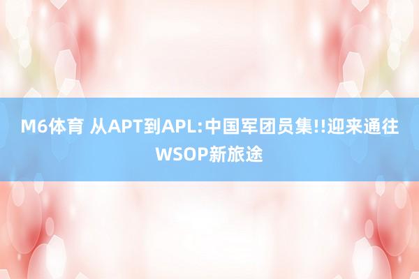 M6体育 从APT到APL:中国军团员集!!迎来通往WSOP新旅途