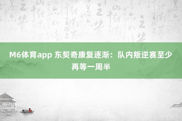 M6体育app 东契奇康复逐渐：队内叛逆赛至少再等一周半