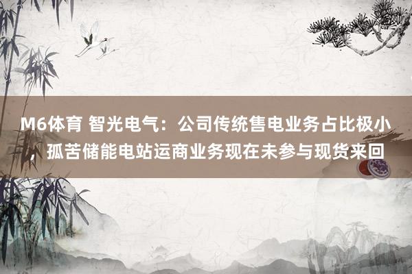 M6体育 智光电气：公司传统售电业务占比极小，孤苦储能电站运商业务现在未参与现货来回