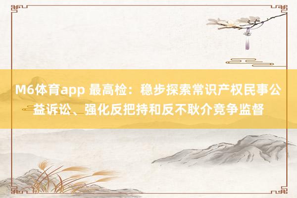 M6体育app 最高检：稳步探索常识产权民事公益诉讼、强化反把持和反不耿介竞争监督