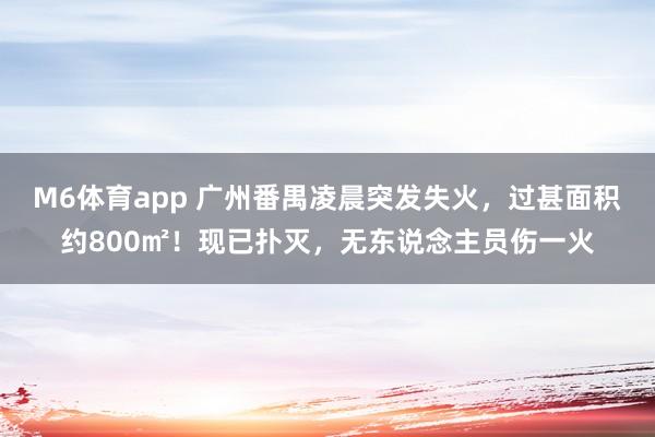 M6体育app 广州番禺凌晨突发失火，过甚面积约800㎡！现已扑灭，无东说念主员伤一火