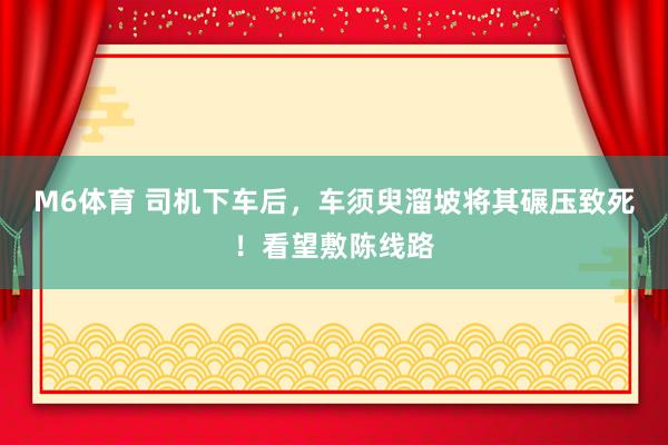 M6体育 司机下车后，车须臾溜坡将其碾压致死！看望敷陈线路