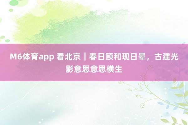 M6体育app 看北京｜春日颐和现日晕，古建光影意思意思横生
