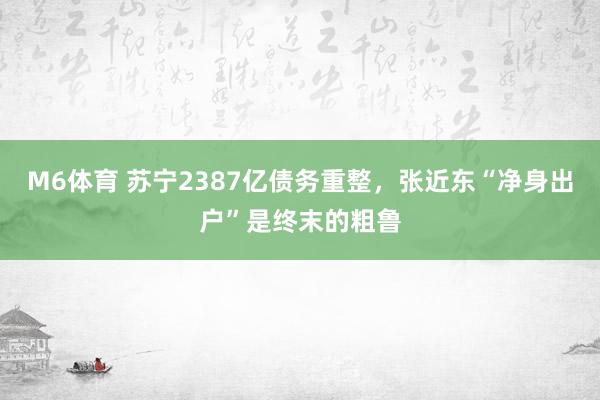 M6体育 苏宁2387亿债务重整，张近东“净身出户”是终末的粗鲁