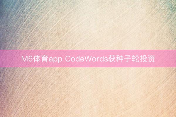 M6体育app CodeWords获种子轮投资